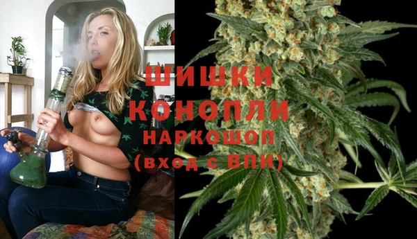 прущая мука Инсар