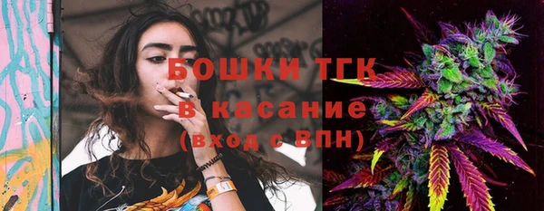 прущая мука Инсар