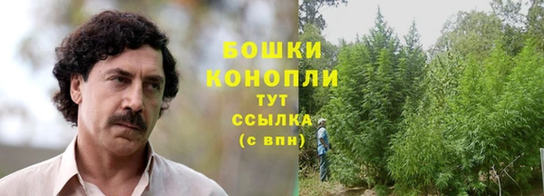 прущая мука Инсар
