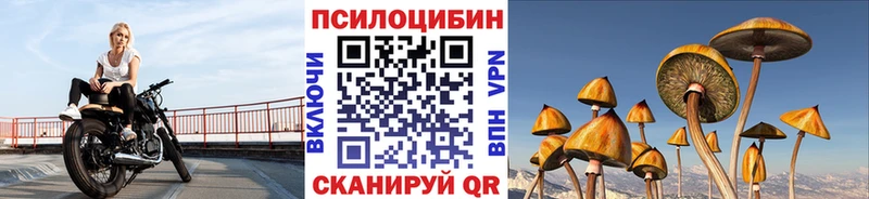 Купить закладки Орлов Галлюциногенные грибы Cubensis