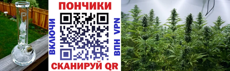 Канабис план  Купить закладки  Орлов 